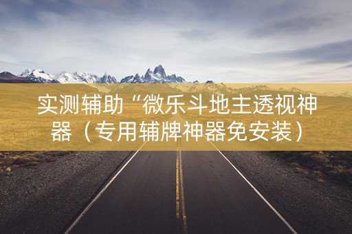 实测辅助“微乐斗地主透视神器（专用辅牌神器免安装）