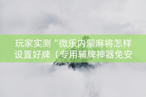 玩家实测“微乐内蒙麻将怎样设置好牌（专用辅牌神器免安装）