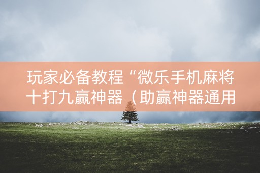 玩家必备教程“微乐手机麻将十打九赢神器（助赢神器通用版）
