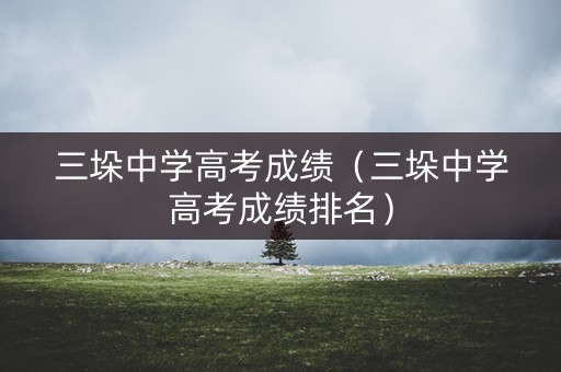 三垛中学高考成绩（三垛中学高考成绩排名）