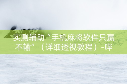 实测辅助“手机麻将软件只赢不输”（详细透视教程）-哔哩哔哩