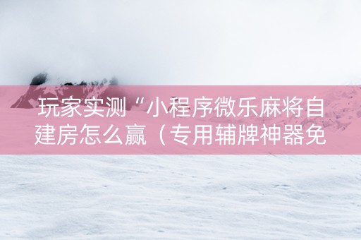玩家实测“小程序微乐麻将自建房怎么赢（专用辅牌神器免安装）