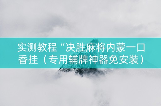 实测教程“决胜麻将内蒙一口香挂（专用辅牌神器免安装）
