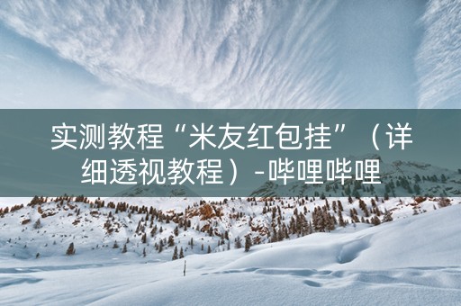 实测教程“米友红包挂”（详细透视教程）-哔哩哔哩
