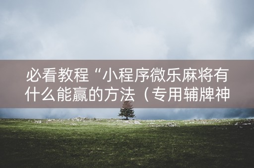 必看教程“小程序微乐麻将有什么能赢的方法（专用辅牌神器免安装）