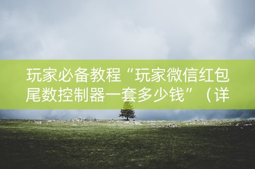玩家必备教程“玩家微信红包尾数控制器一套多少钱”（详细透视教程）-哔哩哔哩