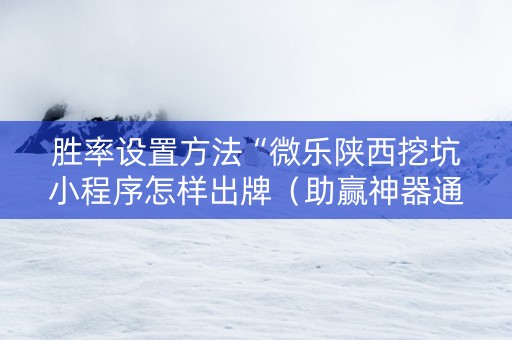 胜率设置方法“微乐陕西挖坑小程序怎样出牌（助赢神器通用版）