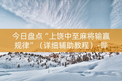 今日盘点“上饶中至麻将输赢规律”（详细辅助教程）-哔哩哔哩