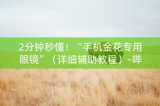 2分钟秒懂！“手机金花专用眼镜”（详细辅助教程）-哔哩哔哩