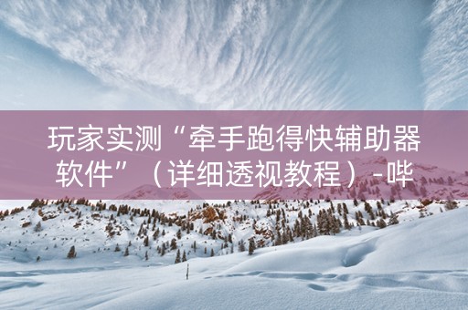 玩家实测“牵手跑得快辅助器软件”（详细透视教程）-哔哩哔哩