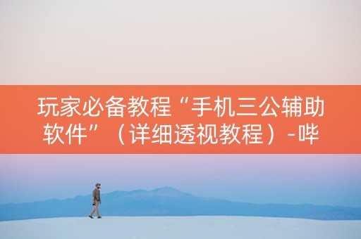 玩家必备教程“手机三公辅助软件”（详细透视教程）-哔哩哔哩