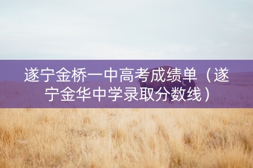 遂宁金桥一中高考成绩单（遂宁金华中学录取分数线）