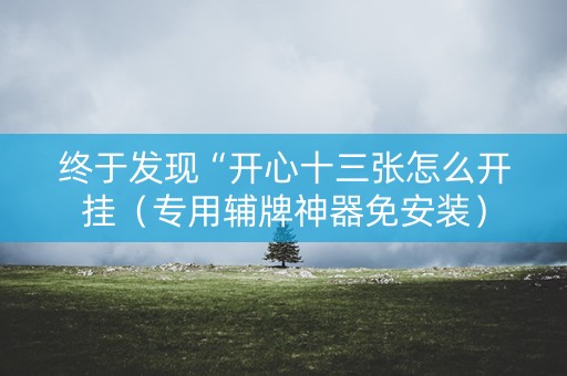 终于发现“开心十三张怎么开挂（专用辅牌神器免安装）