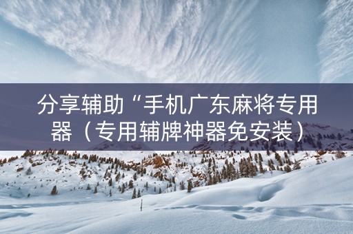 分享辅助“手机广东麻将专用器（专用辅牌神器免安装）