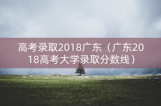 高考录取2018广东（广东2018高考大学录取分数线）
