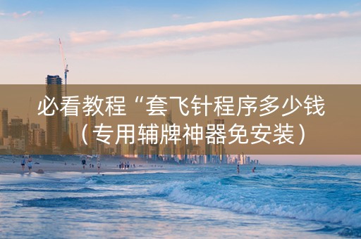 必看教程“套飞针程序多少钱（专用辅牌神器免安装）