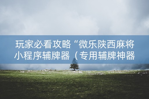 玩家必看攻略“微乐陕西麻将小程序辅牌器（专用辅牌神器免安装）