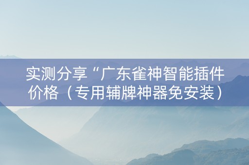 实测分享“广东雀神智能插件价格（专用辅牌神器免安装）