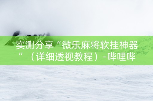 实测分享“微乐麻将软挂神器”（详细透视教程）-哔哩哔哩
