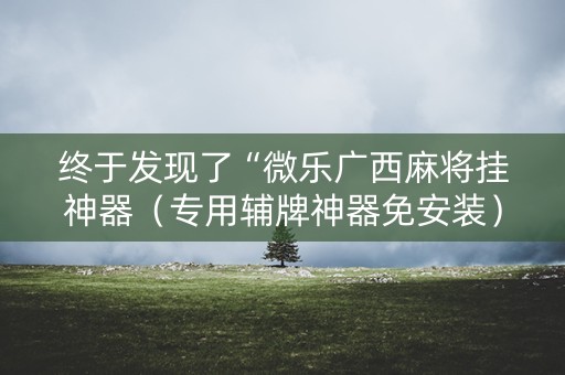 终于发现了“微乐广西麻将挂神器（专用辅牌神器免安装）