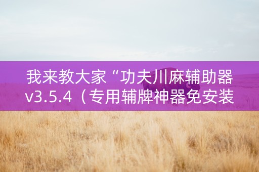 我来教大家“功夫川麻辅助器v3.5.4（专用辅牌神器免安装）