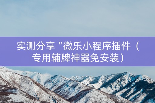 实测分享“微乐小程序插件（专用辅牌神器免安装）