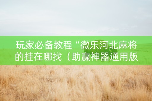 玩家必备教程“微乐河北麻将的挂在哪找（助赢神器通用版）