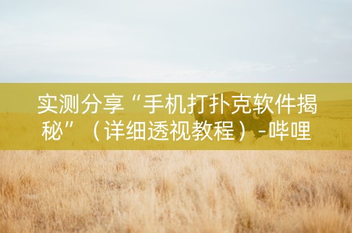 实测分享“手机打扑克软件揭秘”（详细透视教程）-哔哩哔哩