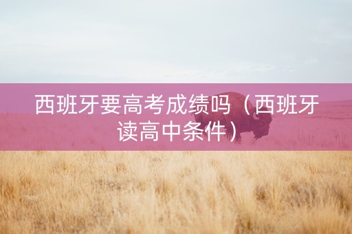 西班牙要高考成绩吗（西班牙读高中条件）