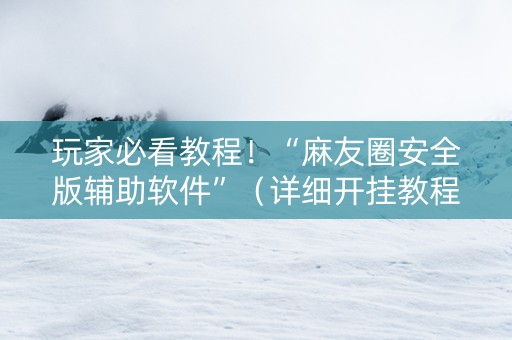 玩家必看教程！“麻友圈安全版辅助软件”（详细开挂教程）-哔哩哔哩