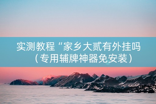 实测教程“家乡大贰有外挂吗（专用辅牌神器免安装）