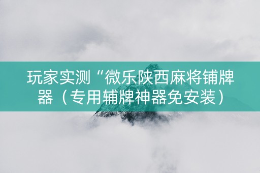 玩家实测“微乐陕西麻将铺牌器（专用辅牌神器免安装）