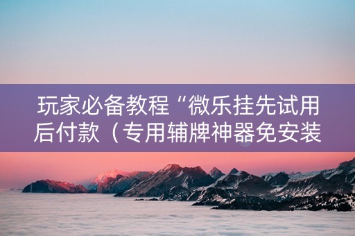 玩家必备教程“微乐挂先试用后付款（专用辅牌神器免安装）