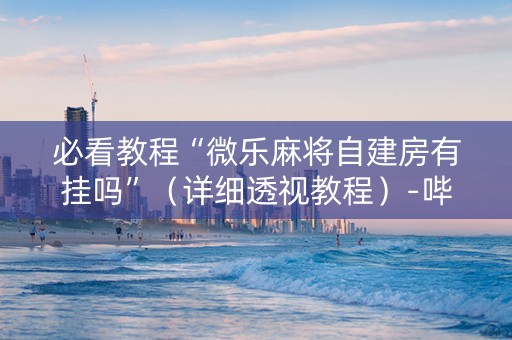 必看教程“微乐麻将自建房有挂吗”（详细透视教程）-哔哩哔哩