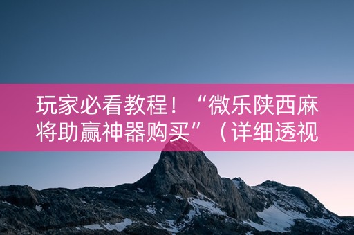 玩家必看教程！“微乐陕西麻将助赢神器购买”（详细透视教程）-哔哩哔哩