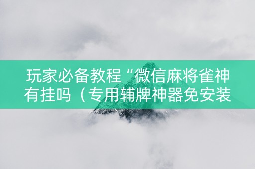 玩家必备教程“微信麻将雀神有挂吗（专用辅牌神器免安装）