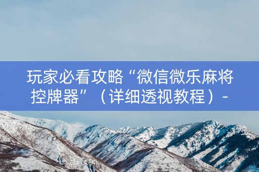 玩家必看攻略“微信微乐麻将控牌器”（详细透视教程）-哔哩哔哩