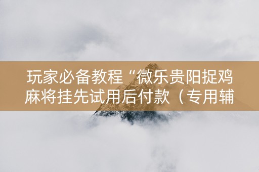 玩家必备教程“微乐贵阳捉鸡麻将挂先试用后付款（专用辅牌神器免安装）