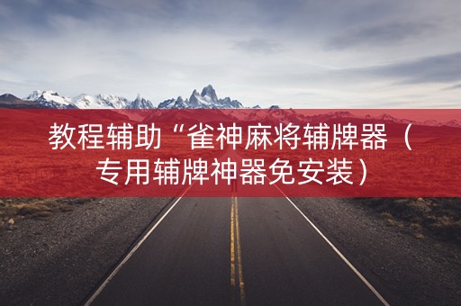 教程辅助“雀神麻将辅牌器（专用辅牌神器免安装）