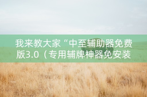 我来教大家“中至辅助器免费版3.0（专用辅牌神器免安装）