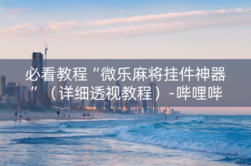 必看教程“微乐麻将挂件神器”（详细透视教程）-哔哩哔哩