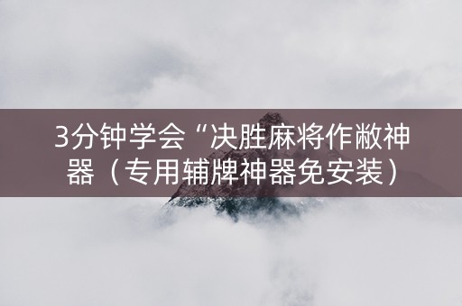 3分钟学会“决胜麻将作敝神器（专用辅牌神器免安装）