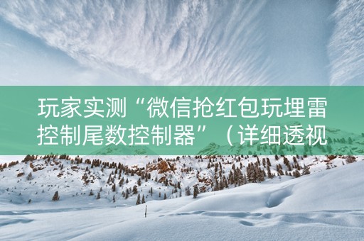 玩家实测“微信抢红包玩埋雷控制尾数控制器”（详细透视教程）-哔哩哔哩