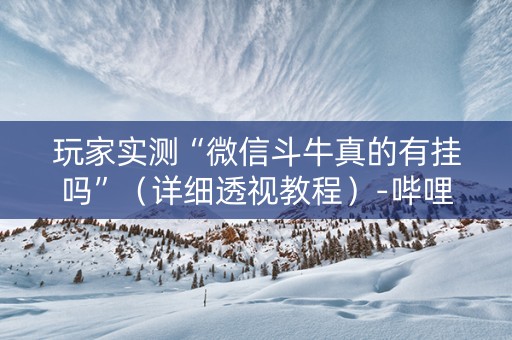 玩家实测“微信斗牛真的有挂吗”（详细透视教程）-哔哩哔哩