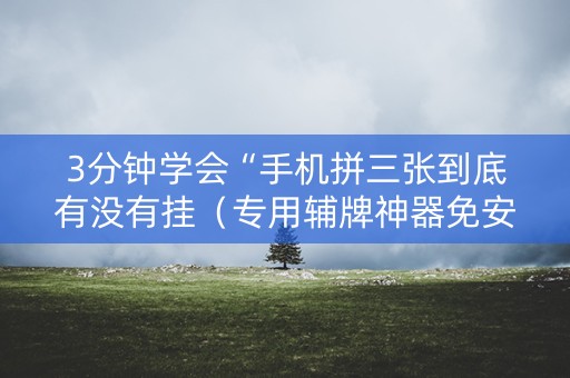 3分钟学会“手机拼三张到底有没有挂（专用辅牌神器免安装）