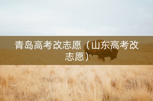 青岛高考改志愿（山东高考改志愿）