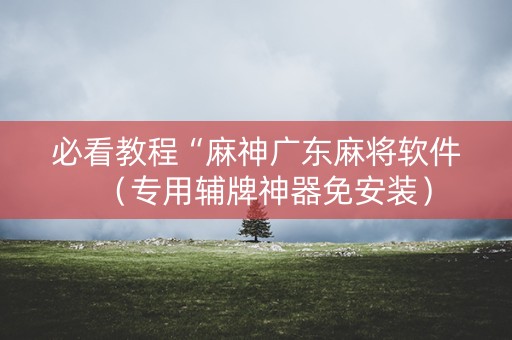 必看教程“麻神广东麻将软件（专用辅牌神器免安装）