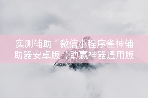 实测辅助“微信小程序雀神辅助器安卓版（助赢神器通用版）