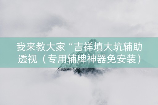 我来教大家“吉祥填大坑辅助透视（专用辅牌神器免安装）
