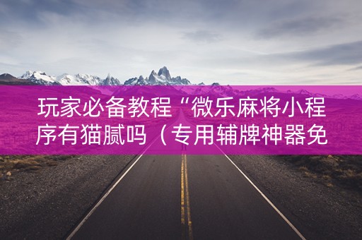 玩家必备教程“微乐麻将小程序有猫腻吗（专用辅牌神器免安装）